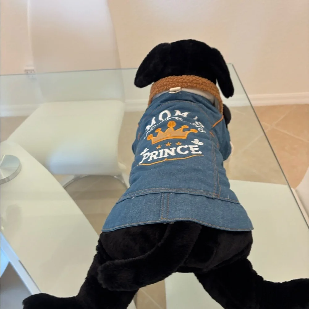Blue Dog Jacket with Crown Design